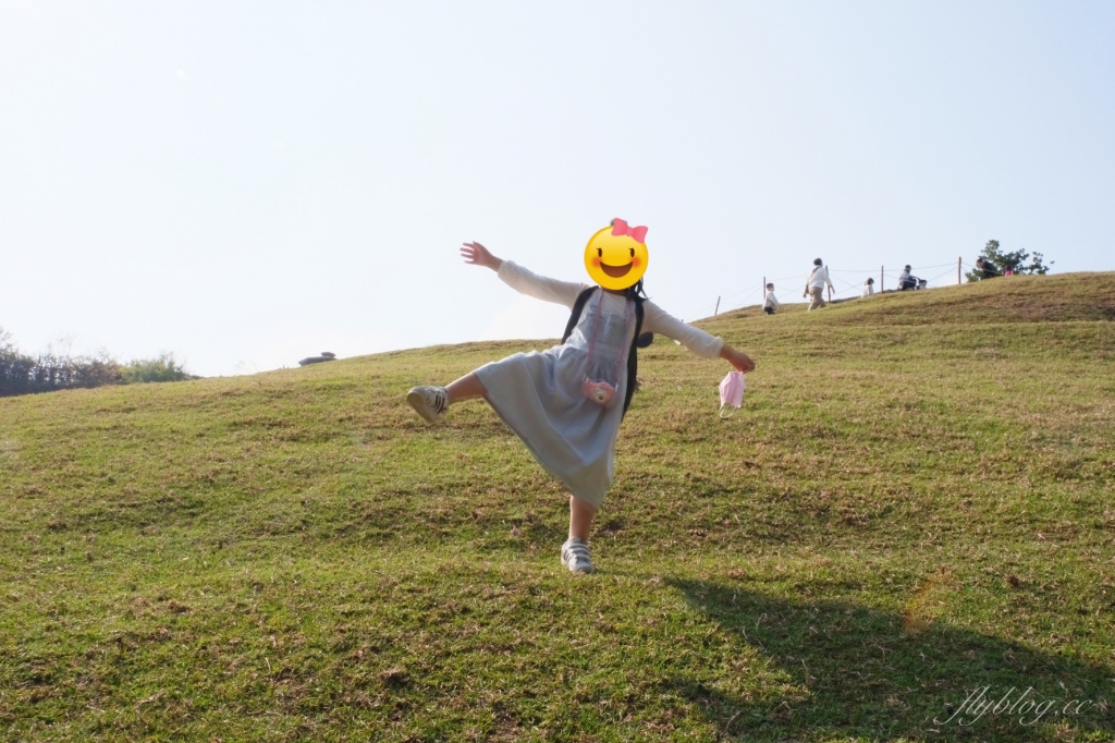 南投仁愛|清境農場.在台灣看到紐西蘭綿羊秀,2025櫻花盛開中 @飛天璇的口袋 南投仁愛|清境農場.在台灣看到紐西蘭綿羊秀,2025櫻花盛開中 @飛天璇的口袋