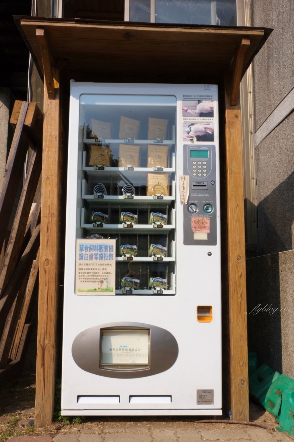 南投仁愛|清境農場.在台灣看到紐西蘭綿羊秀,2025櫻花盛開中 @飛天璇的口袋 南投仁愛|清境農場.在台灣看到紐西蘭綿羊秀,2025櫻花盛開中 @飛天璇的口袋