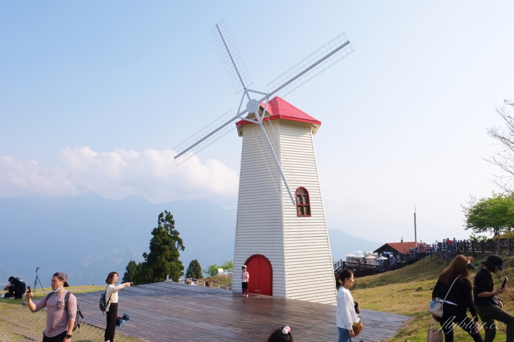 南投仁愛｜清境一日遊．台灣阿爾卑斯山，在青青草原看綿羊秀，挑戰台灣最高天空步道 @飛天璇的口袋