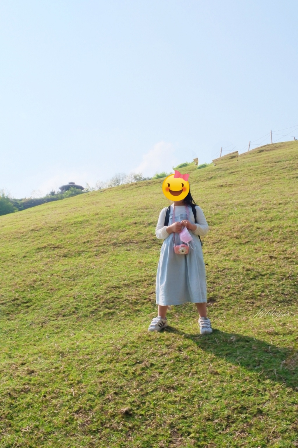 南投仁愛|清境農場.在台灣看到紐西蘭綿羊秀,2025櫻花盛開中 @飛天璇的口袋 南投仁愛|清境農場.在台灣看到紐西蘭綿羊秀,2025櫻花盛開中 @飛天璇的口袋