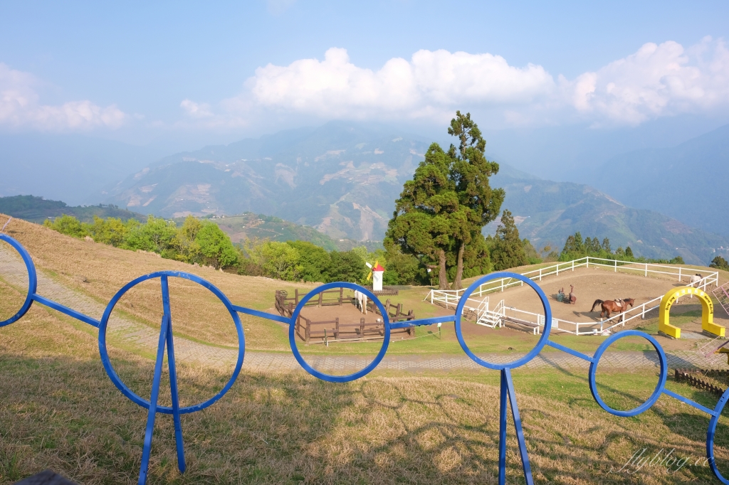 南投仁愛|清境農場.在台灣看到紐西蘭綿羊秀,2025櫻花盛開中 @飛天璇的口袋 南投仁愛|清境農場.在台灣看到紐西蘭綿羊秀,2025櫻花盛開中 @飛天璇的口袋