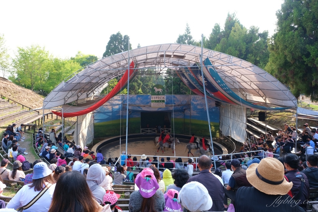 南投仁愛|清境農場.在台灣看到紐西蘭綿羊秀,2025櫻花盛開中 @飛天璇的口袋 南投仁愛|清境農場.在台灣看到紐西蘭綿羊秀,2025櫻花盛開中 @飛天璇的口袋