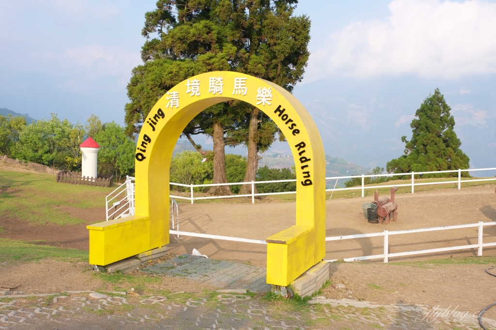 南投仁愛|清境農場.在台灣看到紐西蘭綿羊秀,2025櫻花盛開中 @飛天璇的口袋 南投仁愛|清境農場.在台灣看到紐西蘭綿羊秀,2025櫻花盛開中 @飛天璇的口袋