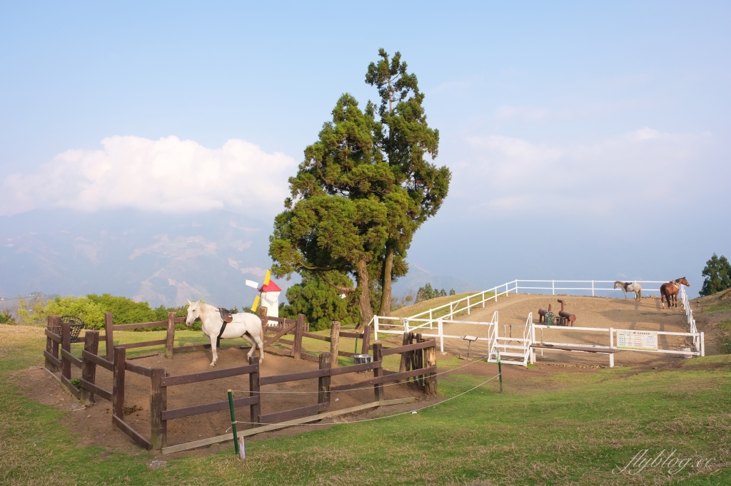 南投仁愛｜清境一日遊．台灣阿爾卑斯山，在青青草原看綿羊秀，挑戰台灣最高天空步道 @飛天璇的口袋