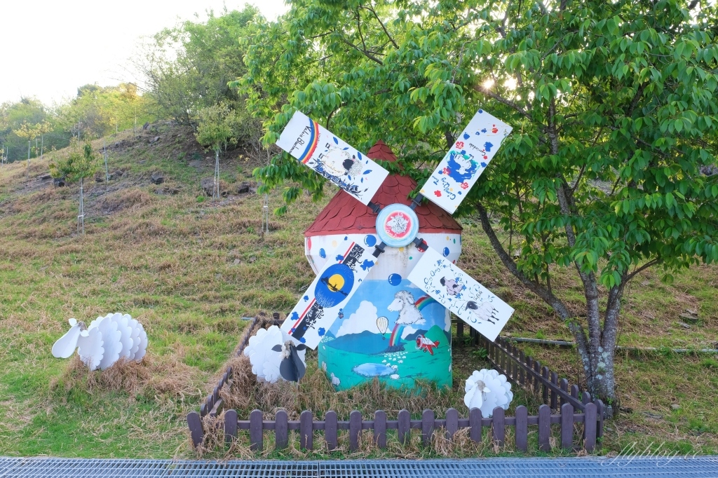 南投仁愛｜清境農場．在台灣看到紐西蘭綿羊秀，2025櫻花盛開中 @飛天璇的口袋