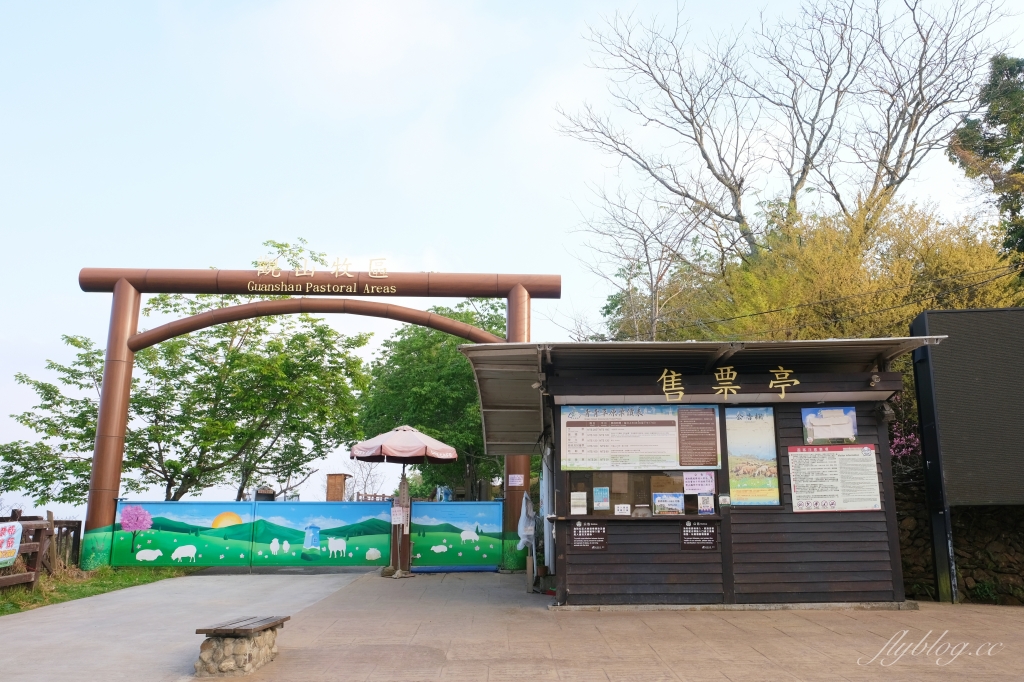 南投仁愛|清境農場.在台灣看到紐西蘭綿羊秀,2025櫻花盛開中 @飛天璇的口袋 南投仁愛|清境農場.在台灣看到紐西蘭綿羊秀,2025櫻花盛開中 @飛天璇的口袋