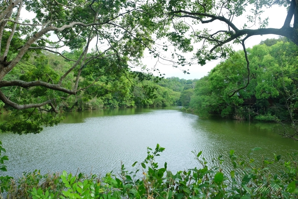 苗栗大湖|湖畔花時間.依山傍水的景觀民宿,還有療癒的露天溫泉 @飛天璇的口袋 苗栗大湖|湖畔花時間.依山傍水的景觀民宿,還有療癒的露天溫泉 @飛天璇的口袋