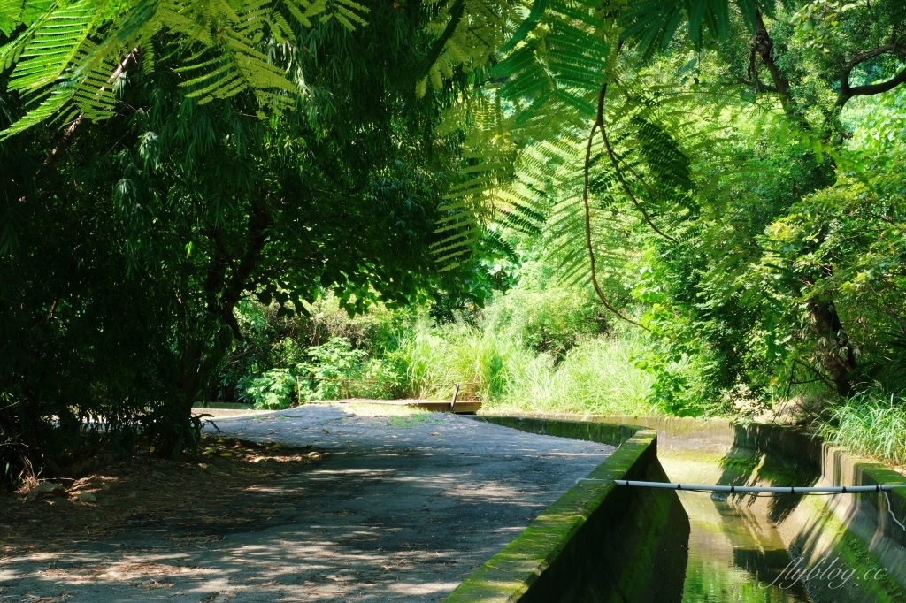 【台中烏日】知高圳步道，延途林蔭、石板路和木棧道，輕鬆360度遠眺台中美景 @飛天璇的口袋