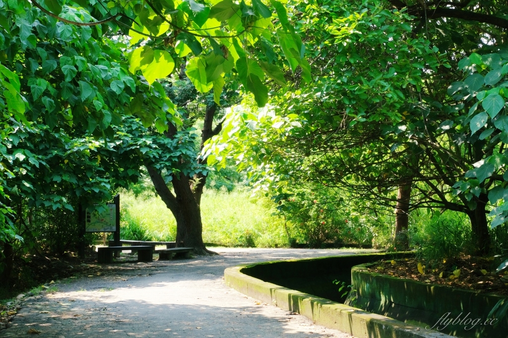 【台中烏日】知高圳步道，延途林蔭、石板路和木棧道，輕鬆360度遠眺台中美景 @飛天璇的口袋