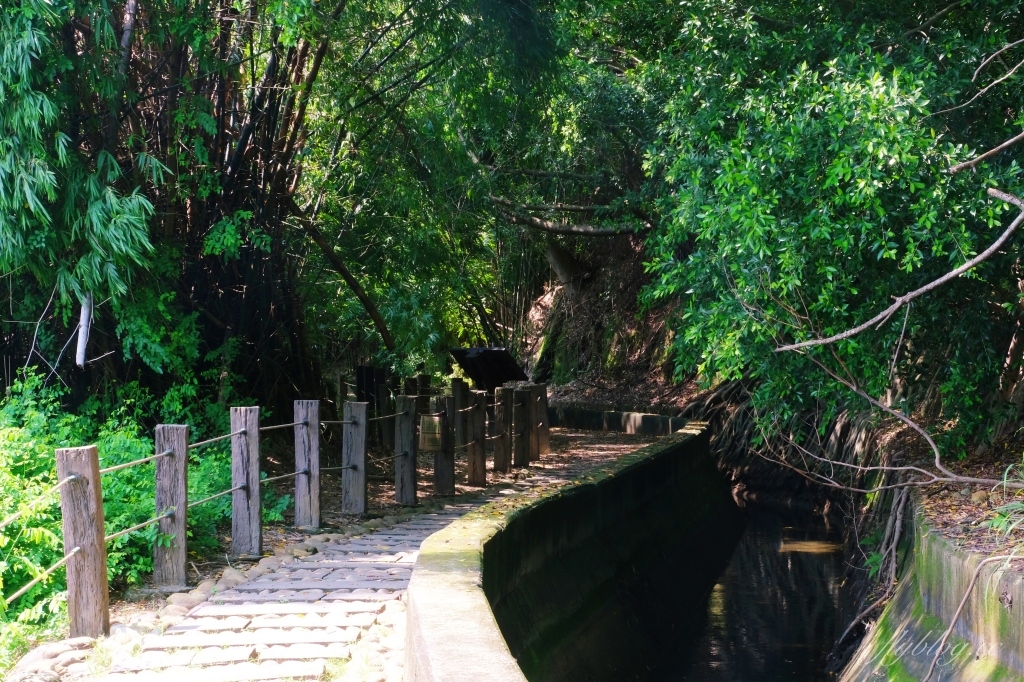 【台中烏日】知高圳步道，延途林蔭、石板路和木棧道，輕鬆360度遠眺台中美景 @飛天璇的口袋