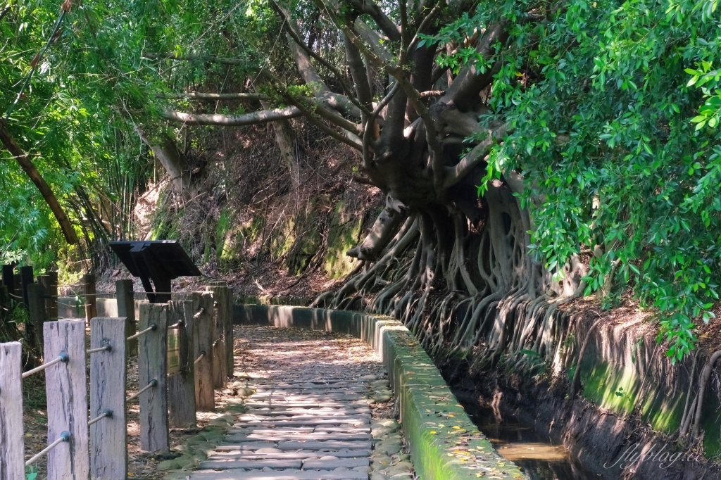 【台中烏日】知高圳步道，延途林蔭、石板路和木棧道，輕鬆360度遠眺台中美景 @飛天璇的口袋