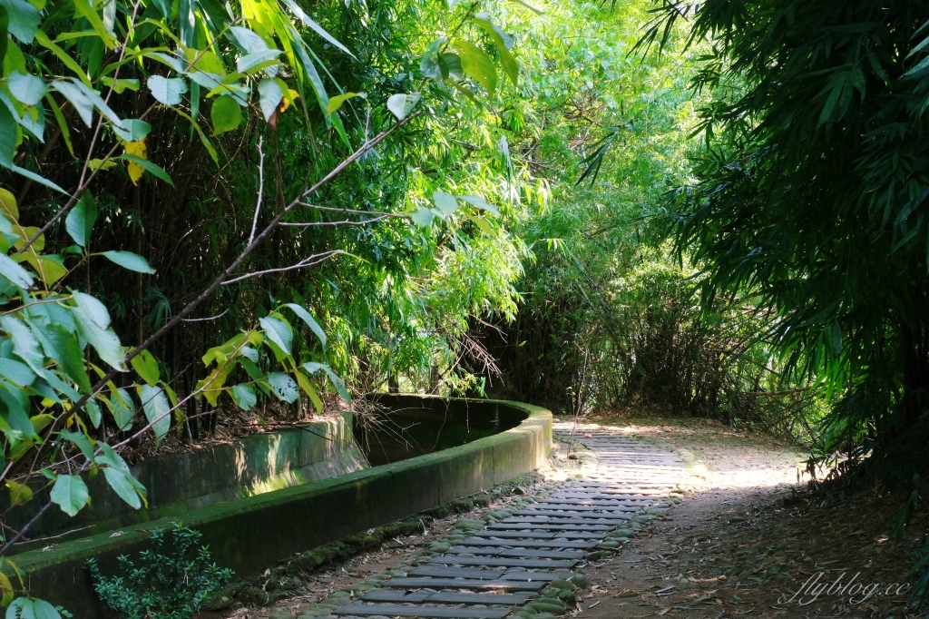 【台中烏日】知高圳步道，延途林蔭、石板路和木棧道，輕鬆360度遠眺台中美景 @飛天璇的口袋