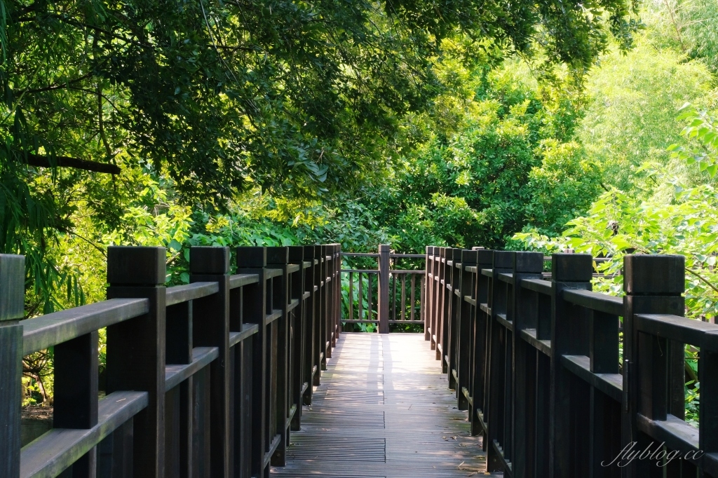【台中烏日】知高圳步道，延途林蔭、石板路和木棧道，輕鬆360度遠眺台中美景 @飛天璇的口袋