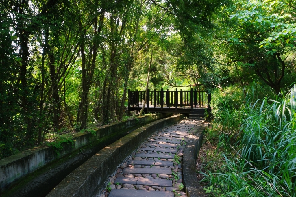 【台中烏日】知高圳步道，延途林蔭、石板路和木棧道，輕鬆360度遠眺台中美景 @飛天璇的口袋