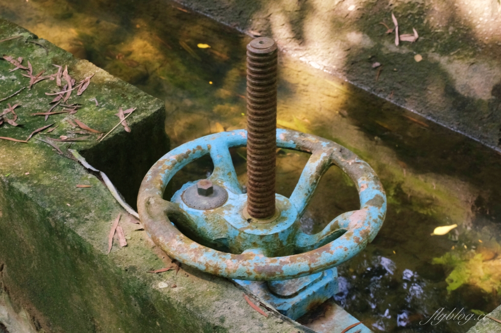 【台中烏日】知高圳步道，延途林蔭、石板路和木棧道，輕鬆360度遠眺台中美景 @飛天璇的口袋