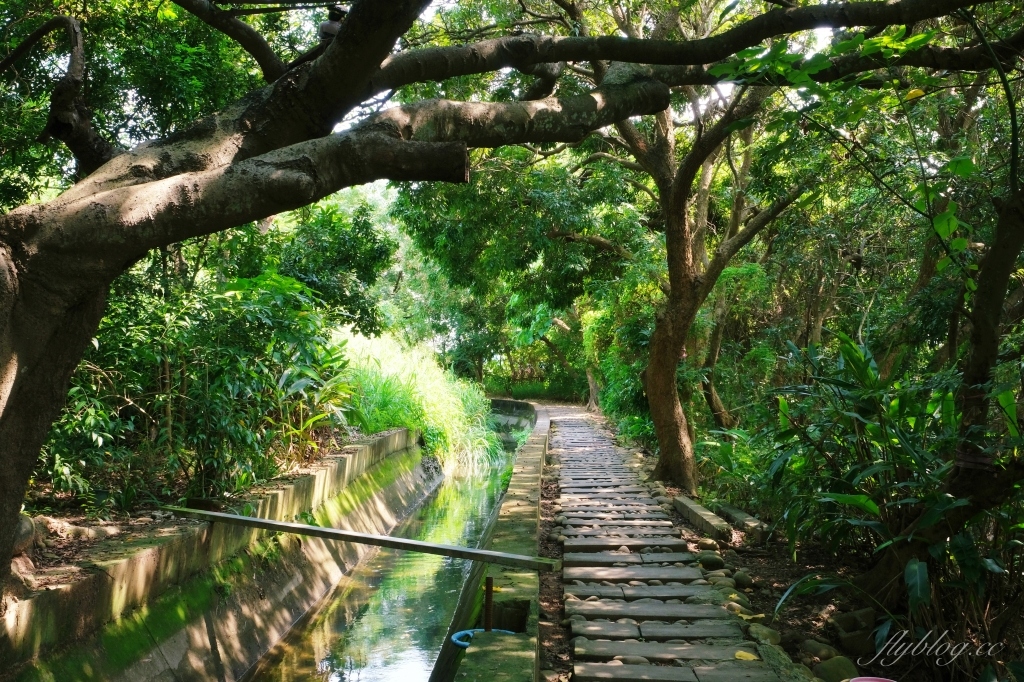 【台中烏日】知高圳步道，延途林蔭、石板路和木棧道，輕鬆360度遠眺台中美景 @飛天璇的口袋