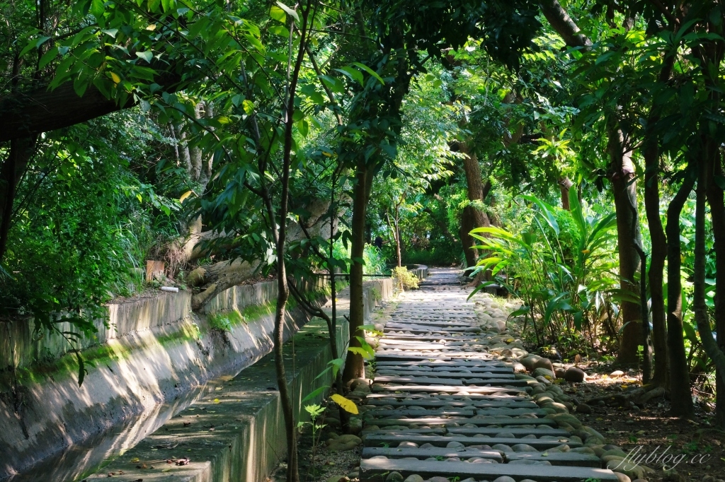 【台中烏日】知高圳步道，延途林蔭、石板路和木棧道，輕鬆360度遠眺台中美景 @飛天璇的口袋