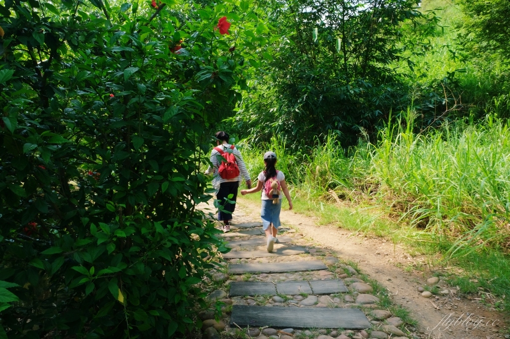 【台中烏日】知高圳步道，延途林蔭、石板路和木棧道，輕鬆360度遠眺台中美景 @飛天璇的口袋