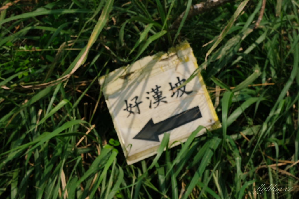 【台中烏日】知高圳步道，延途林蔭、石板路和木棧道，輕鬆360度遠眺台中美景 @飛天璇的口袋