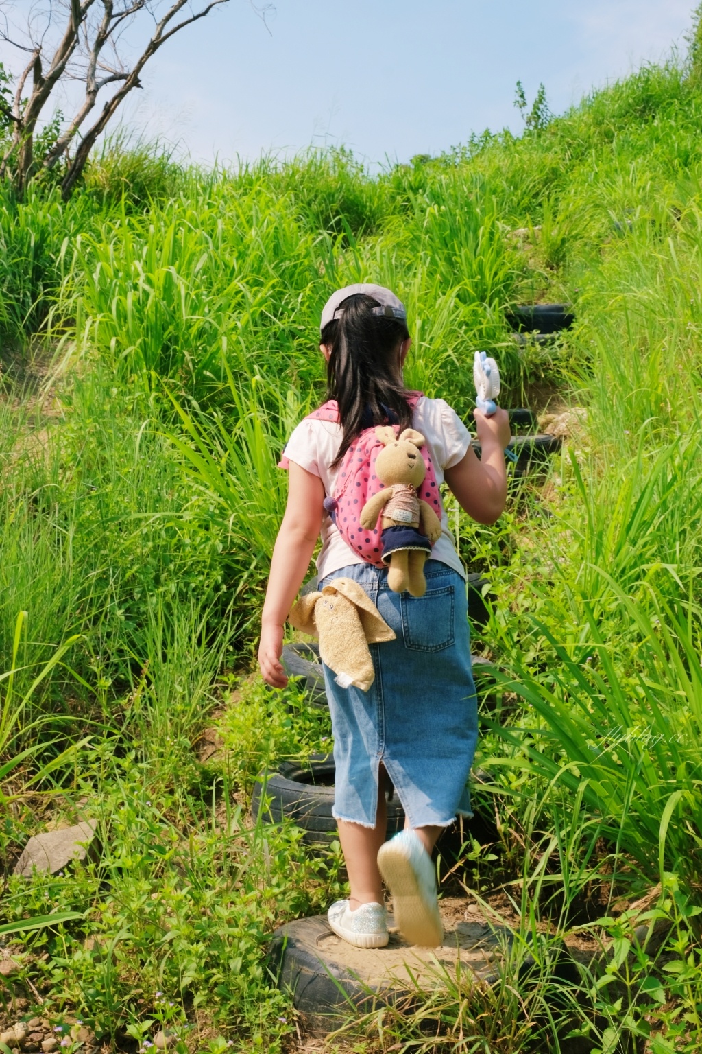 【台中烏日】知高圳步道，延途林蔭、石板路和木棧道，輕鬆360度遠眺台中美景 @飛天璇的口袋