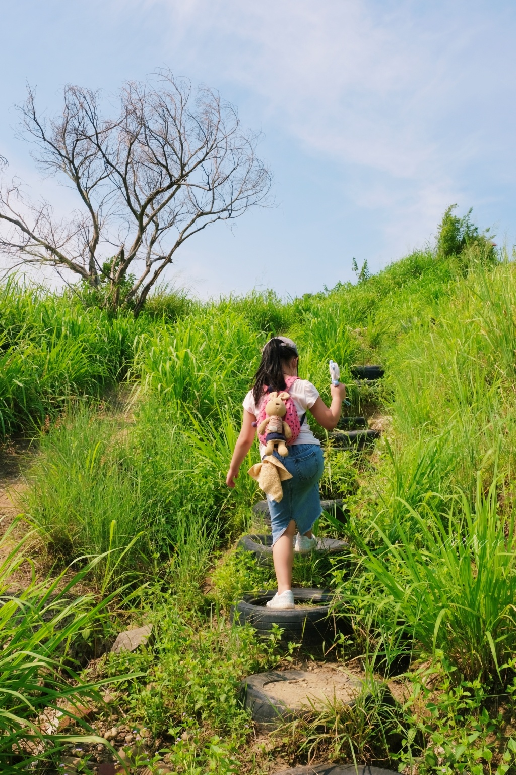 【台中烏日】知高圳步道，延途林蔭、石板路和木棧道，輕鬆360度遠眺台中美景 @飛天璇的口袋