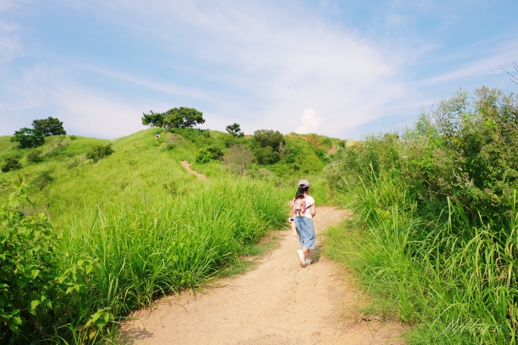 【台中烏日】知高圳步道，延途林蔭、石板路和木棧道，輕鬆360度遠眺台中美景 @飛天璇的口袋