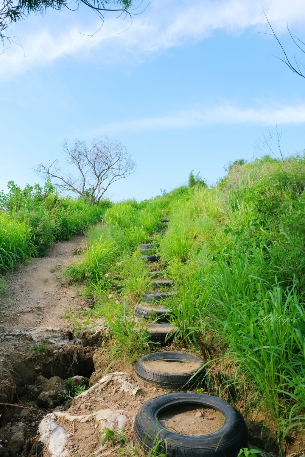 【台中烏日】知高圳步道，延途林蔭、石板路和木棧道，輕鬆360度遠眺台中美景 @飛天璇的口袋