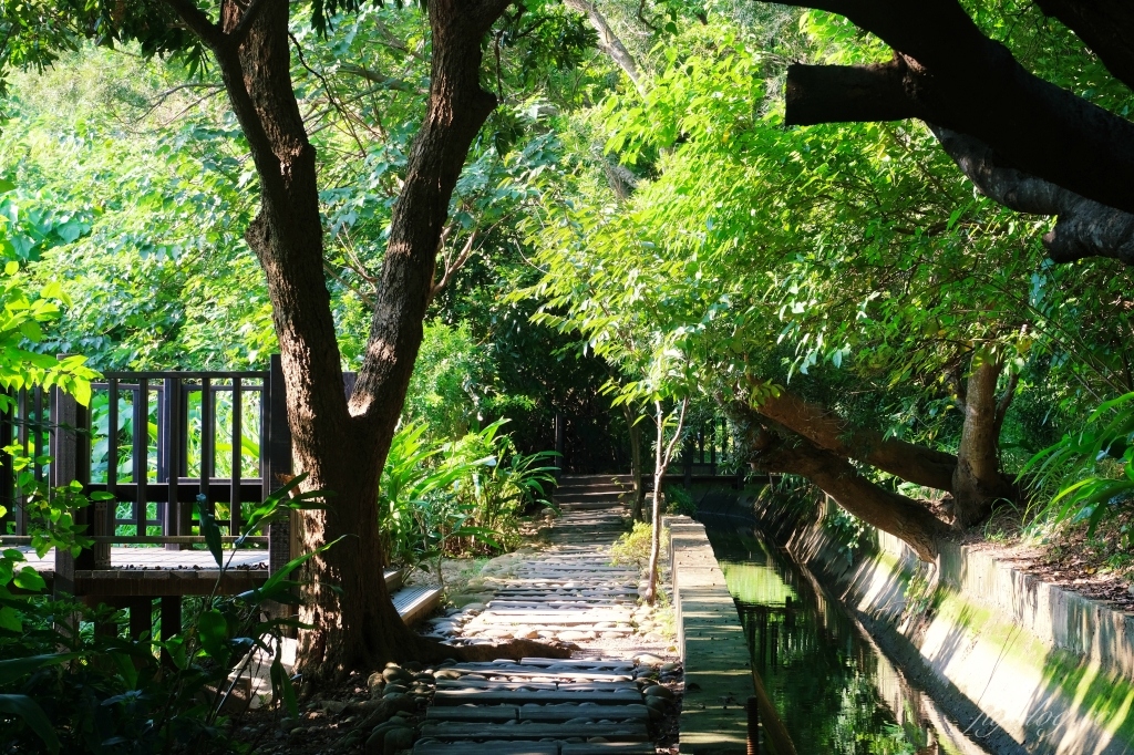 【台中烏日】知高圳步道，延途林蔭、石板路和木棧道，輕鬆360度遠眺台中美景 @飛天璇的口袋