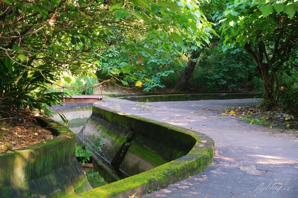 【台中烏日】知高圳步道，延途林蔭、石板路和木棧道，輕鬆360度遠眺台中美景 @飛天璇的口袋