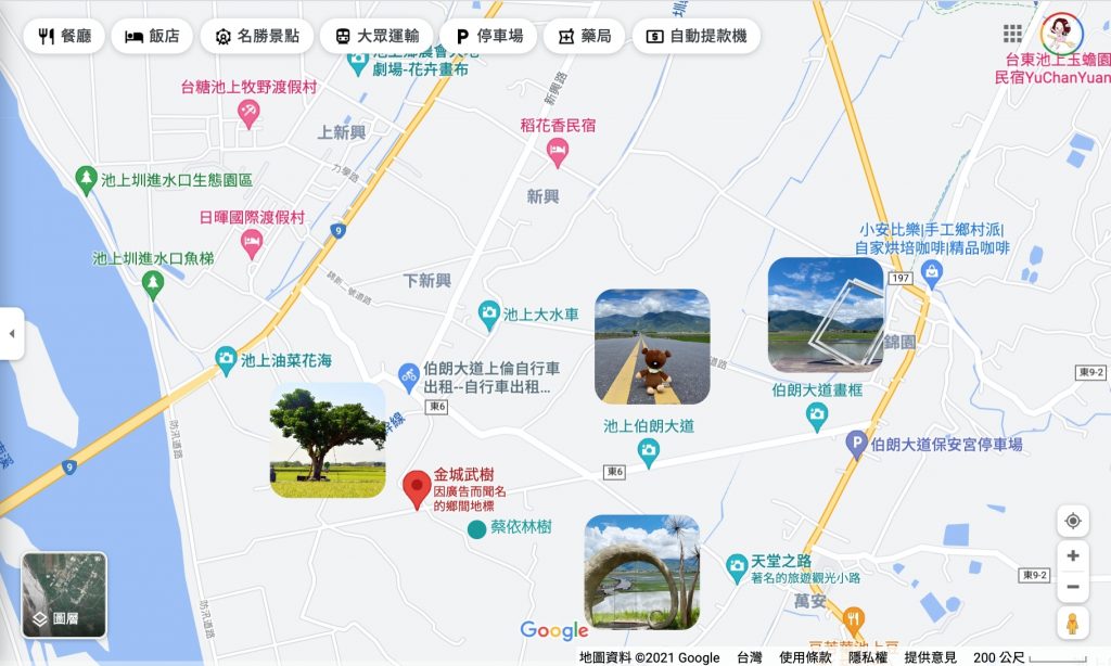 台東池上｜伯朗大道，台東最夯的打卡點天堂之路，男神金城武拍攝廣告的金城武樹 @飛天璇的口袋