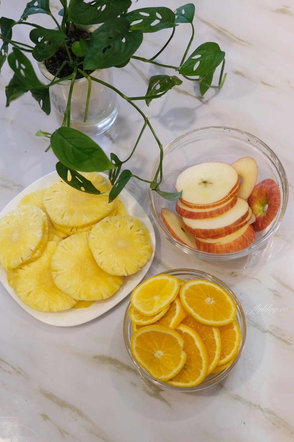 食譜分享｜綜合烤果乾做法，用氣炸烤箱怎麼烤果乾？溫度時間設定好一鍵完成 @飛天璇的口袋