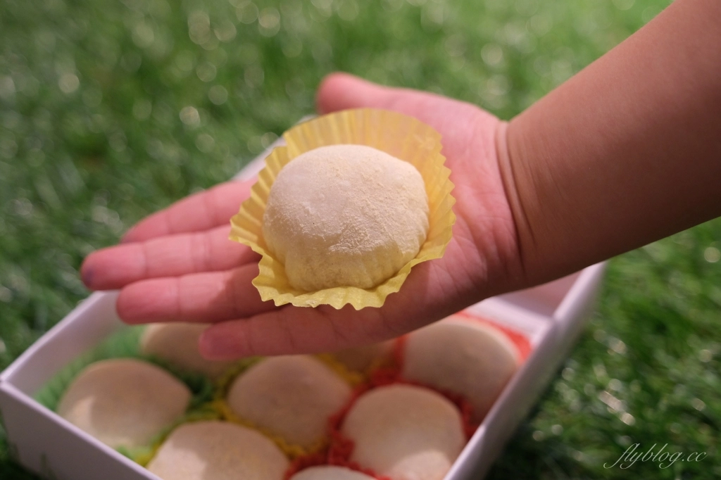 龍山手工麻糬｜外皮軟Q內餡料多，每日手工現做鹿港伴手禮 @飛天璇的口袋