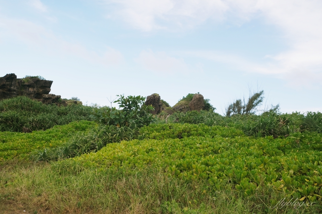 台東成功｜三仙台．火山噴發而出的小島，東台灣最熱門的旅遊景點 @飛天璇的口袋