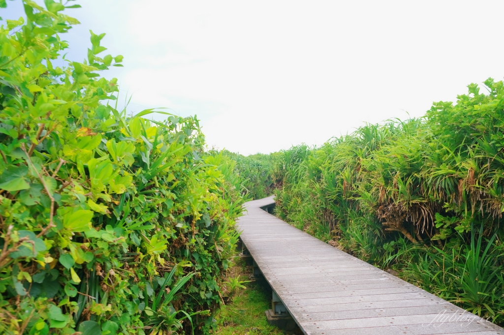 台東成功｜三仙台．火山噴發而出的小島，東台灣最熱門的旅遊景點 @飛天璇的口袋