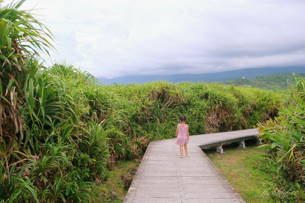 台東成功｜三仙台．火山噴發而出的小島，東台灣最熱門的旅遊景點 @飛天璇的口袋