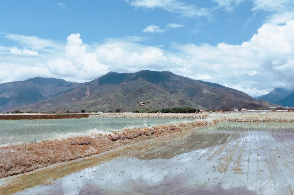 台東長濱｜金剛大道．筆直大道的盡頭是海天一色，媲美伯朗大道的金剛大道 @飛天璇的口袋