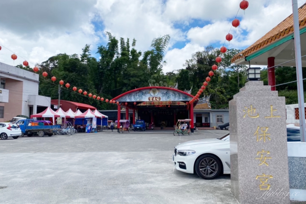 台東池上｜伯朗大道，台東最夯的打卡點天堂之路，男神金城武拍攝廣告的金城武樹 @飛天璇的口袋