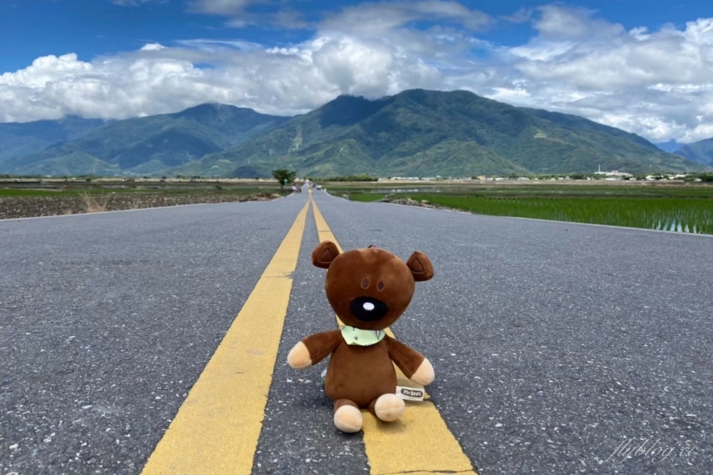 台東池上｜伯朗大道，台東最夯的打卡點天堂之路，男神金城武拍攝廣告的金城武樹 @飛天璇的口袋