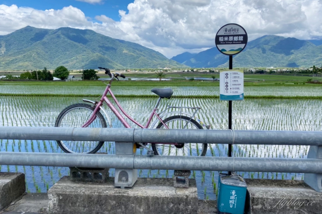台東池上｜伯朗大道，台東最夯的打卡點天堂之路，男神金城武拍攝廣告的金城武樹 @飛天璇的口袋