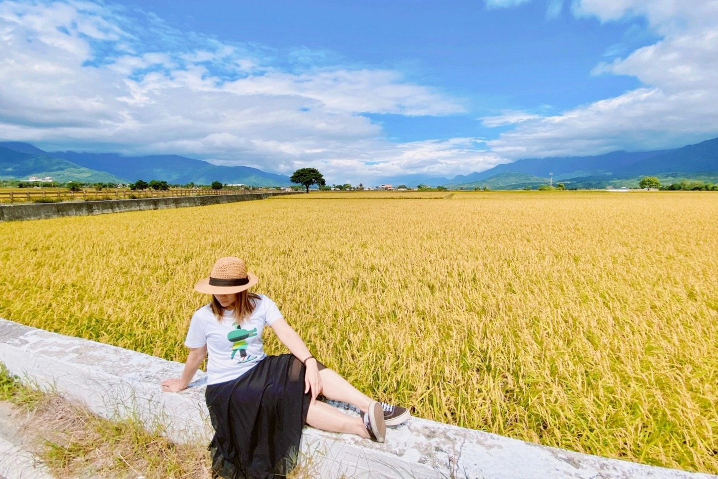 台東池上｜伯朗大道，台東最夯的打卡點天堂之路，男神金城武拍攝廣告的金城武樹 @飛天璇的口袋