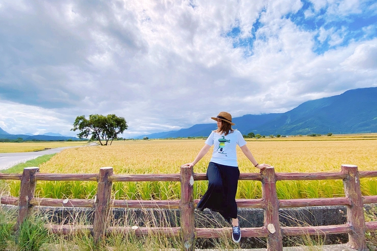 台東池上｜伯朗大道，台東最夯的打卡點天堂之路，男神金城武拍攝廣告的金城武樹 @飛天璇的口袋