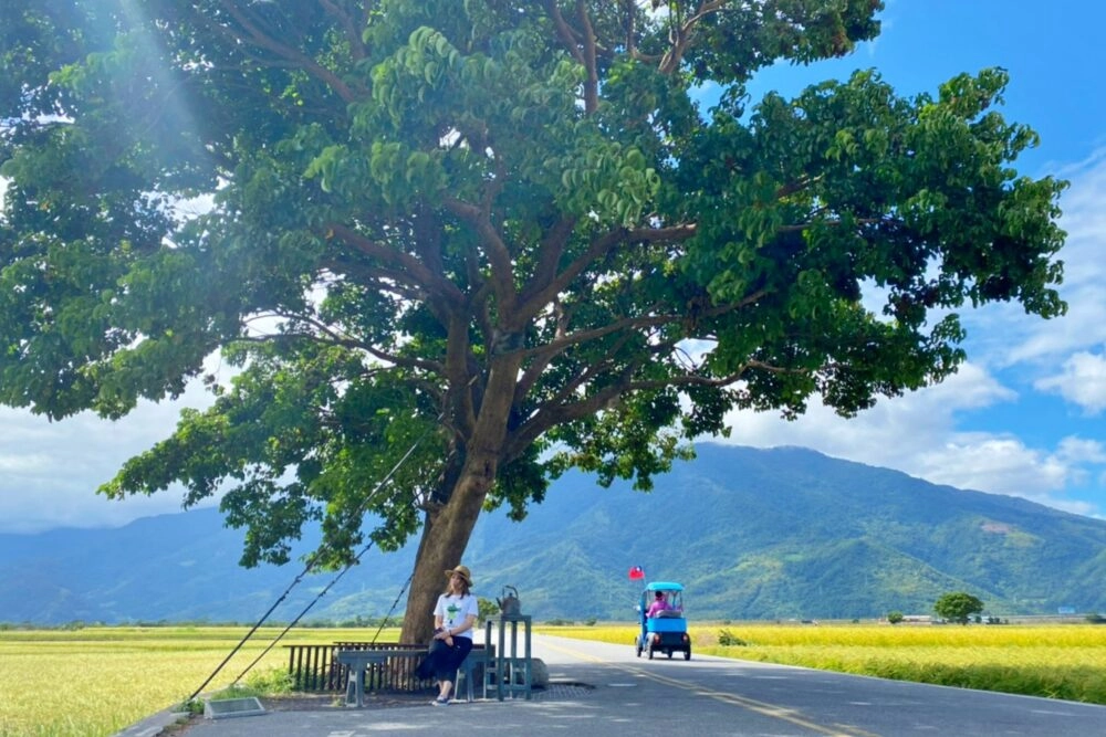 台東旅遊｜台東4天3夜行程規劃，台東這樣玩！美麗蔚藍東海岸盡收眼底 @飛天璇的口袋