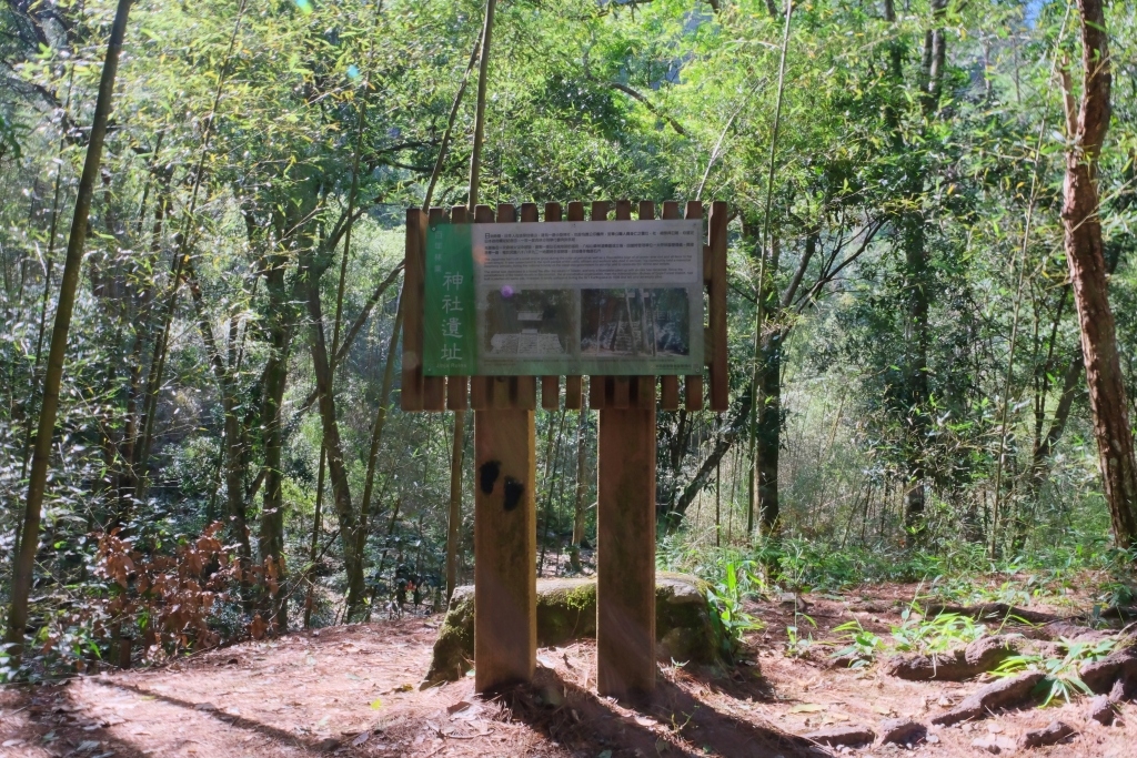 台中和平｜八仙山國家森林遊樂區．山林裡的兒童戲水池，群山環繞優美森林步道 @飛天璇的口袋