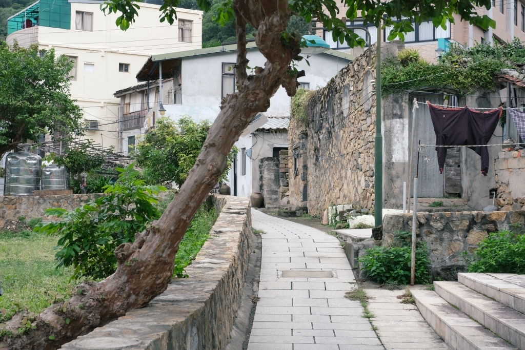 【馬祖南竿】島嶼花草文旅~南竿最新無印良品風格，簡單清新的花草主題民宿 @飛天璇的口袋