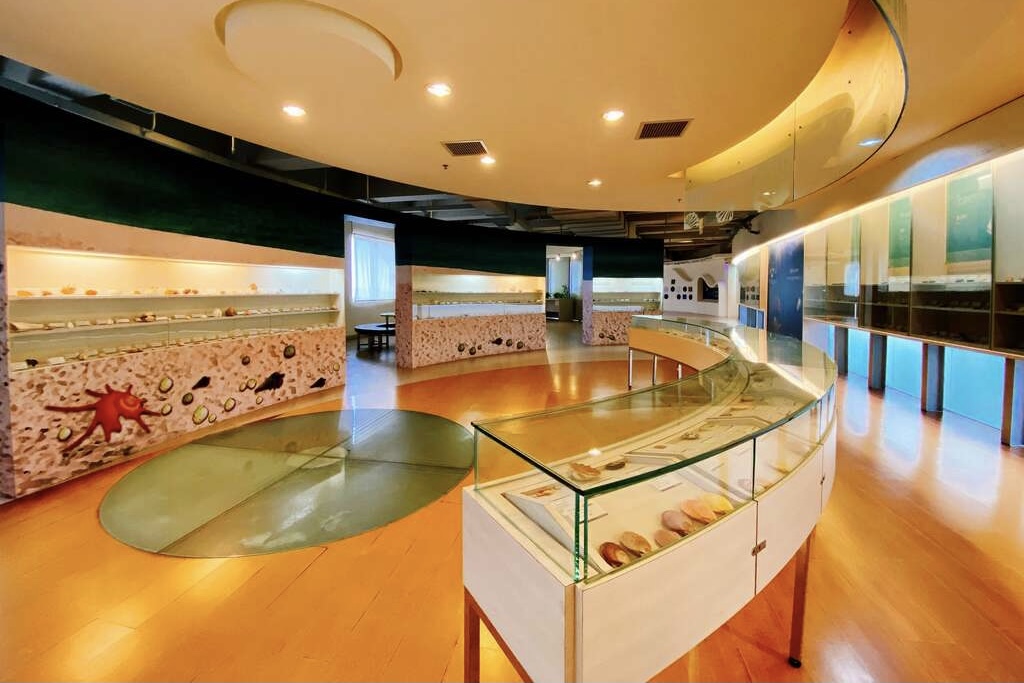 高雄旗津｜旗津一日遊．搭渡輪5分鐘抵達，旗津必玩景點、旗津必吃美食，搭捷運到旗津交通方式 @飛天璇的口袋