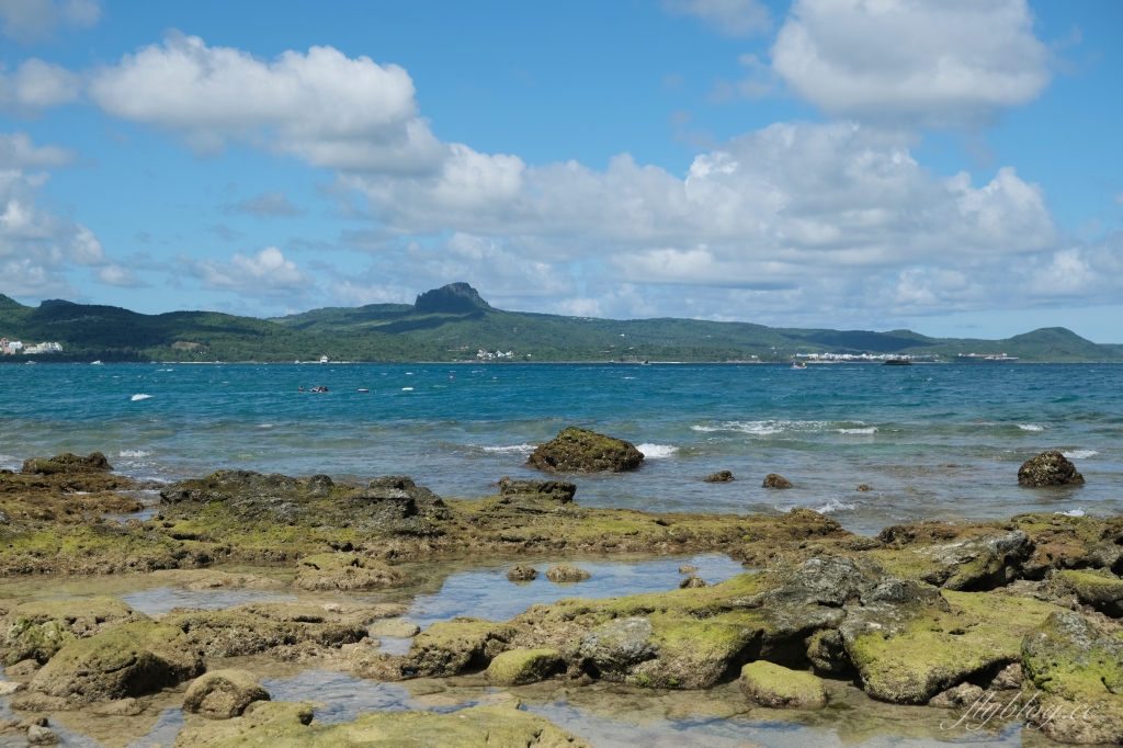 後壁湖潮間帶|富有豐富生態的墾丁秘境,認識海洋小生物最好的地點 @飛天璇的口袋 後壁湖潮間帶|富有豐富生態的墾丁秘境,認識海洋小生物最好的地點 @飛天璇的口袋