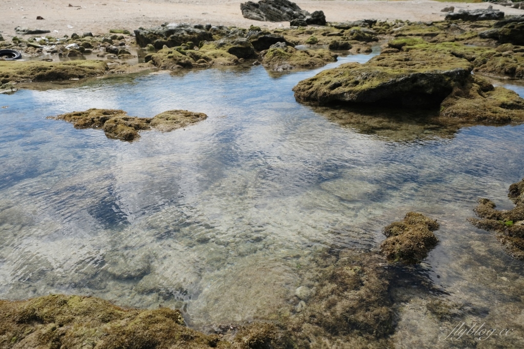 後壁湖潮間帶｜富有豐富生態的墾丁秘境，認識海洋小生物最好的地點 @飛天璇的口袋