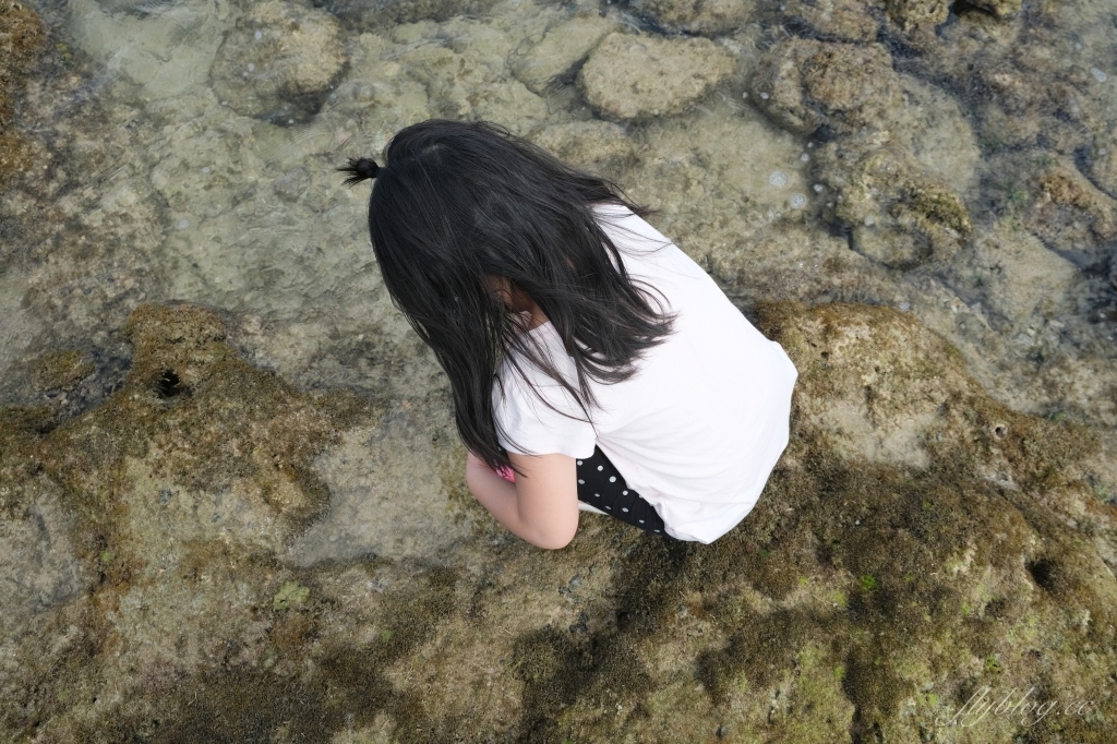 後壁湖潮間帶｜富有豐富生態的墾丁秘境，認識海洋小生物最好的地點 @飛天璇的口袋