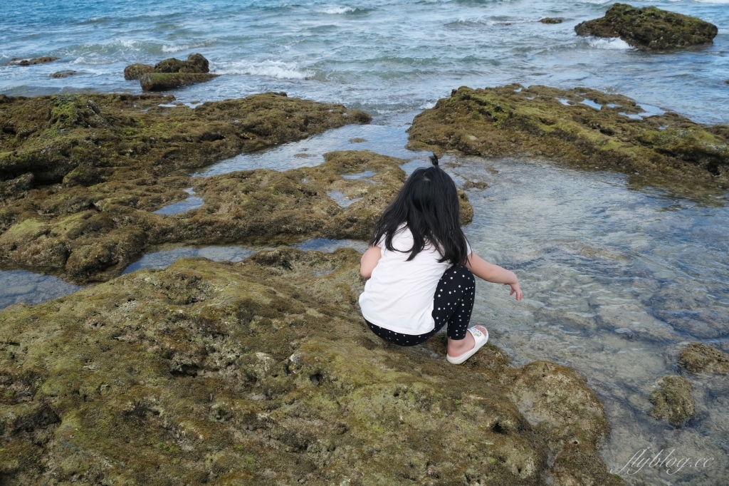 後壁湖潮間帶｜富有豐富生態的墾丁秘境，認識海洋小生物最好的地點 @飛天璇的口袋
