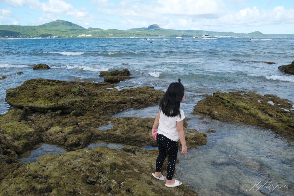 後壁湖潮間帶|富有豐富生態的墾丁秘境,認識海洋小生物最好的地點 @飛天璇的口袋 後壁湖潮間帶|富有豐富生態的墾丁秘境,認識海洋小生物最好的地點 @飛天璇的口袋